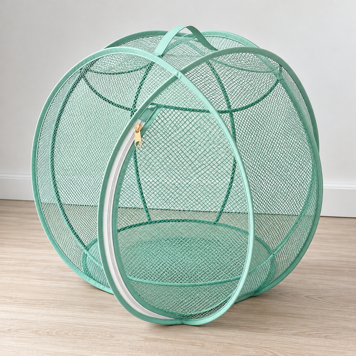 Panoramic CatBall